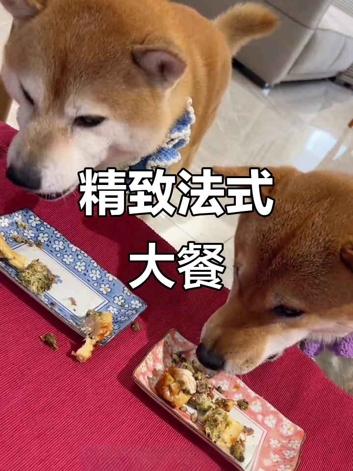 法式鸭胸肉与鹿腿肉的完美搭配,家庭西餐也能如此优雅