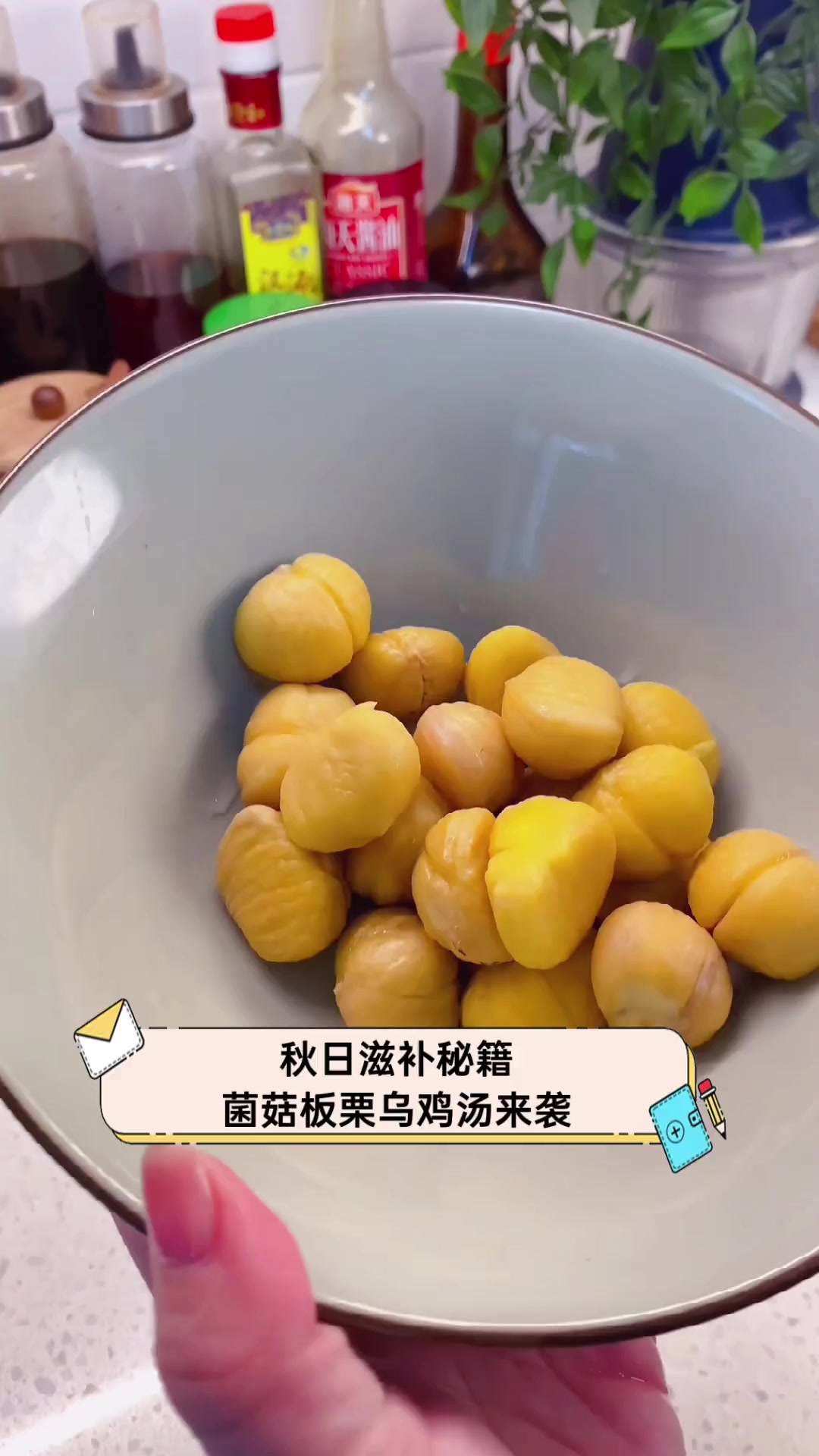 秋日滋补秘籍,菌菇板栗乌鸡汤来袭