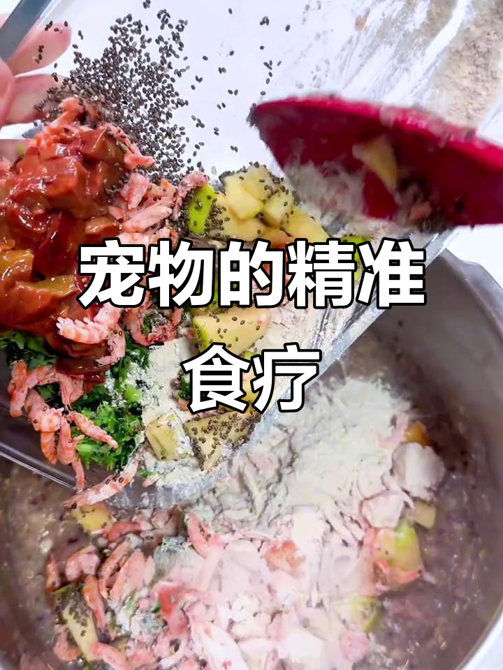 宠物药膳,针对湿气重问题,定制牛肉餐包助力健康