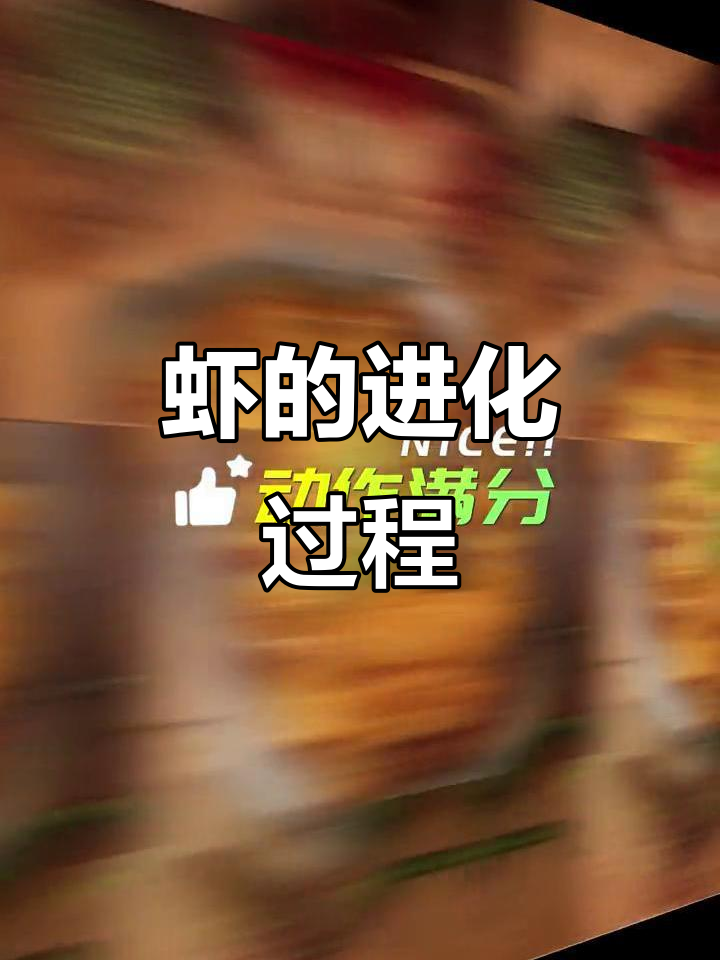 一只虾的成长历程,看看它如何蜕变!