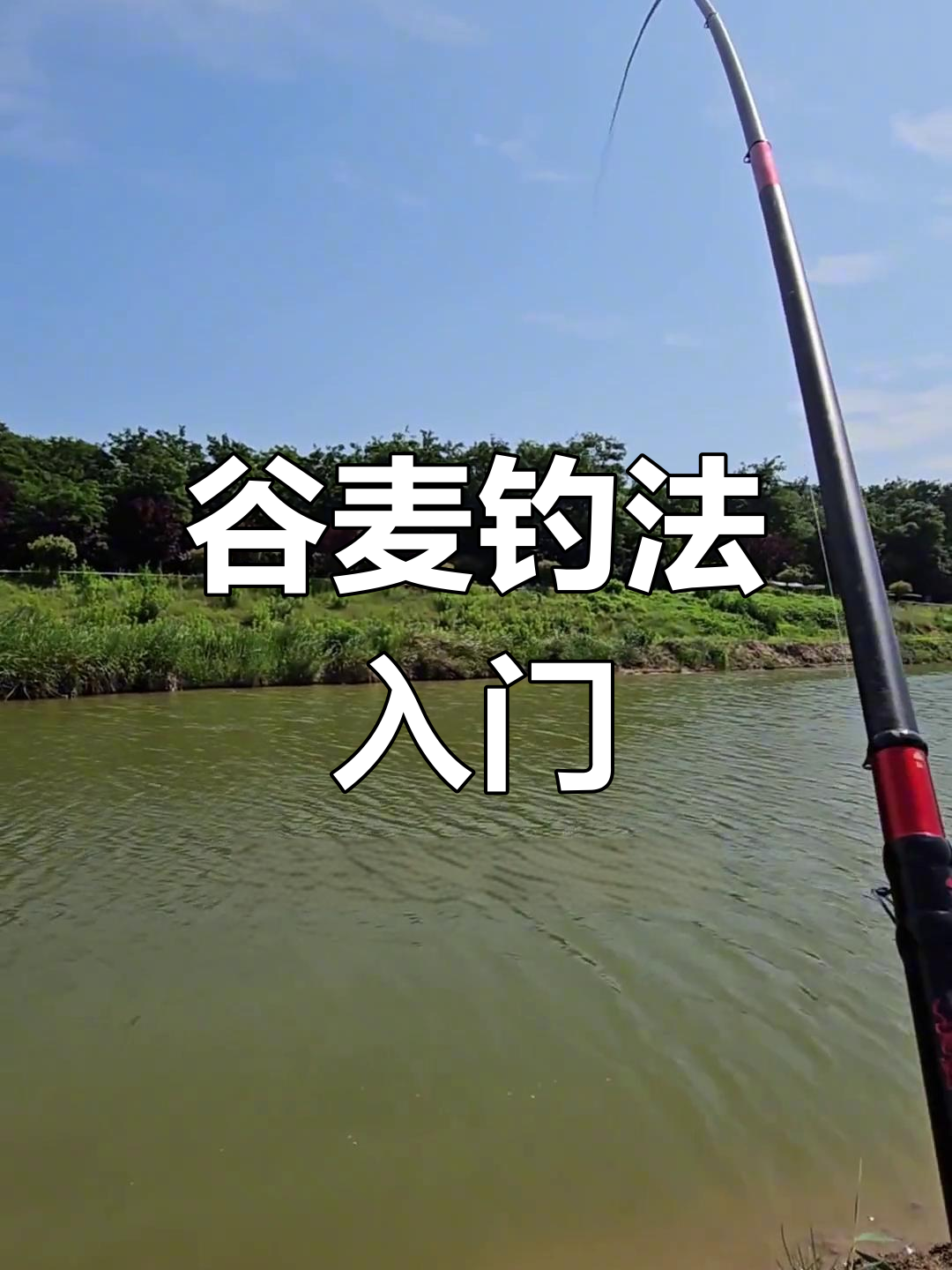 谷麦钓法全解析,业余爱好者也能轻松掌握!