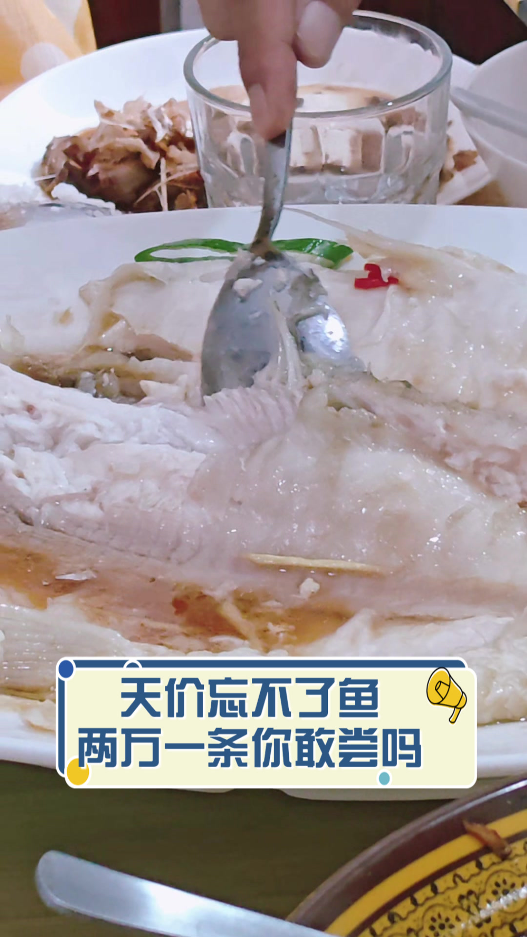 天价忘不了鱼,两万一条你敢尝吗