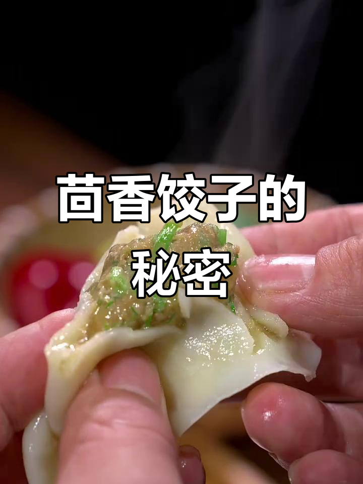 冬至包饺子，茴香馅加这步，皮薄汁多，味道更鲜美！