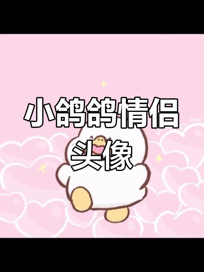 小鸽鸽情侣头像,萌趣可爱超有爱