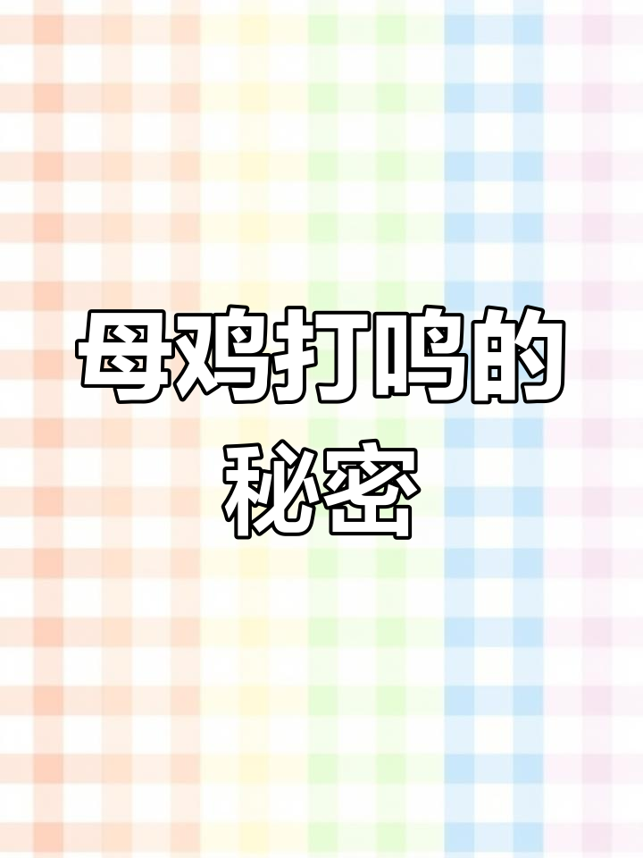 母鸡学公鸡叫,背后隐藏着怎样的命运?