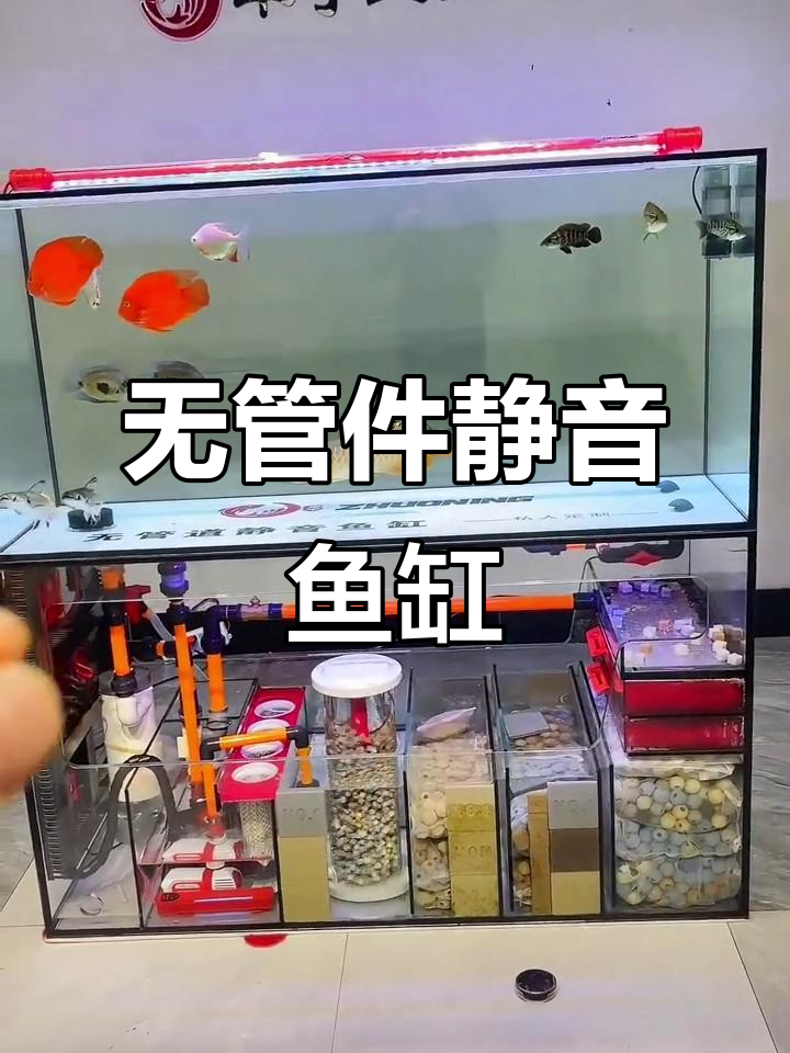 卓宁鱼缸：无管道设计，解决水族圈痛点