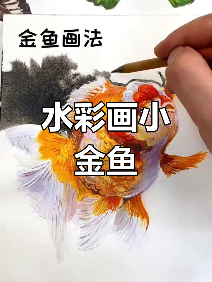 轻松绘制活灵活现的小金鱼