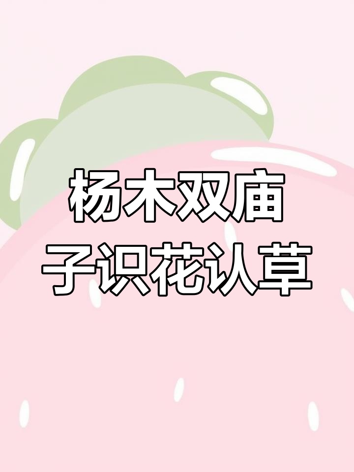探秘杨木双庙子野菜与白头翁,了解蒲公英等植物
