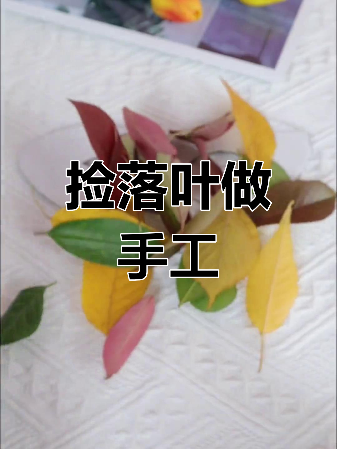 秋叶手工DIY,树叶面具新创意
