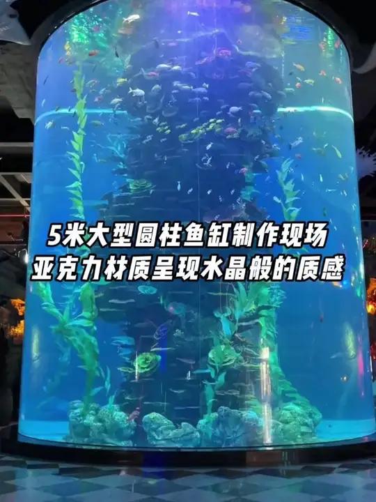 5米大型圆柱鱼缸制作现场，亚克力材质呈现水晶般的质感