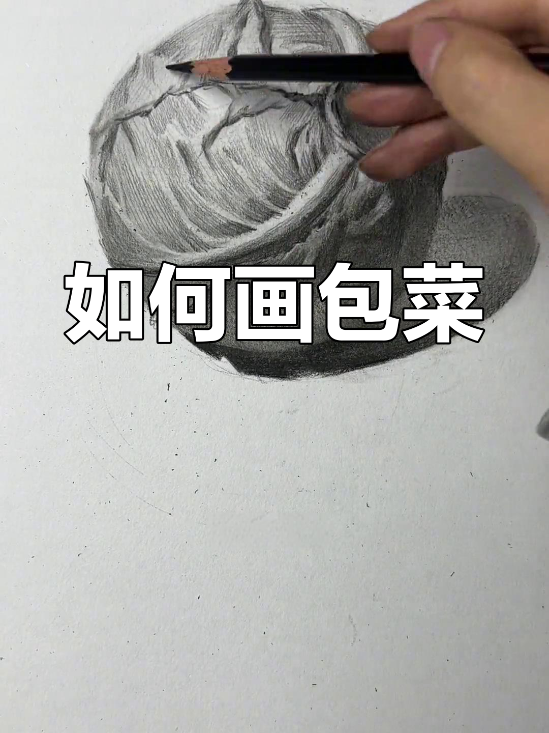 素描包菜绘制技巧大揭秘