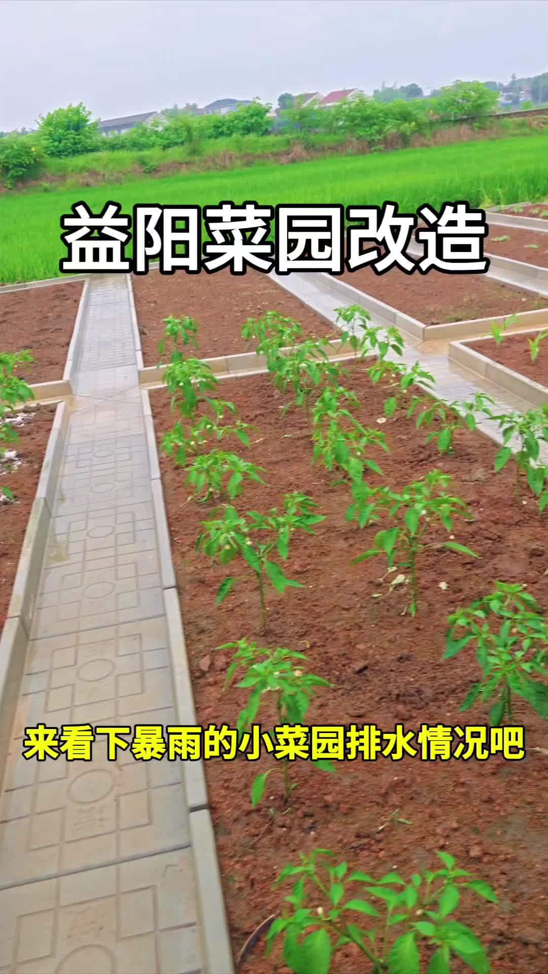 菜沟板 小院改造 新农村 庭院设计 菜地设计