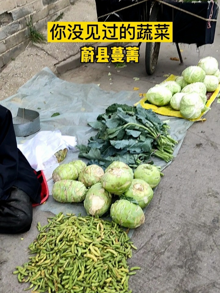 张家口蔚县人喜欢用蔓菁腌咸菜那种脆脆的口感简直爽爆了