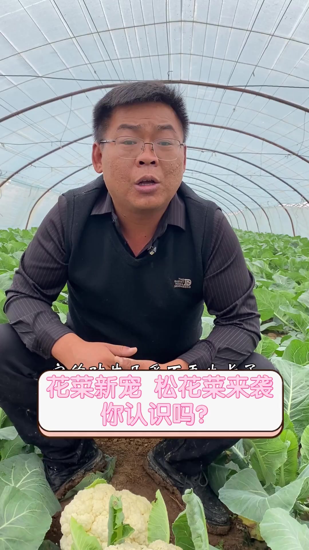 花菜新宠,松花菜来袭,你认识吗?
