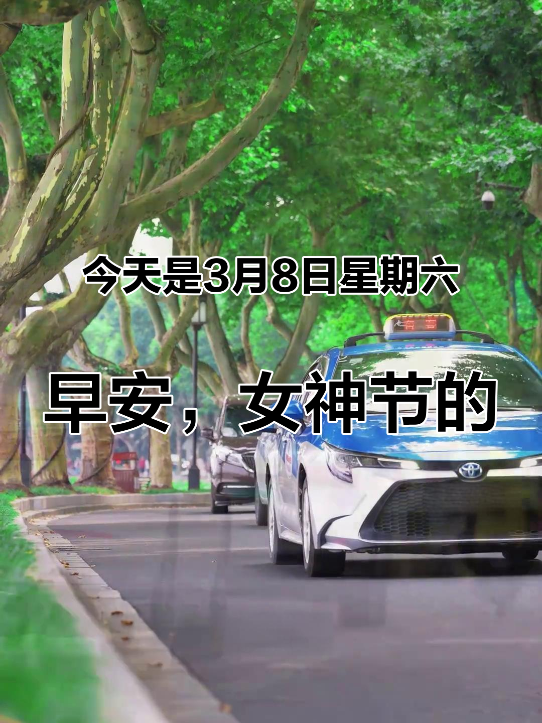 今天是3月8日星期六,早安,女神节的第一条祝福,我想送给你,愿你眼角带笑,月色不染眉梢,愿