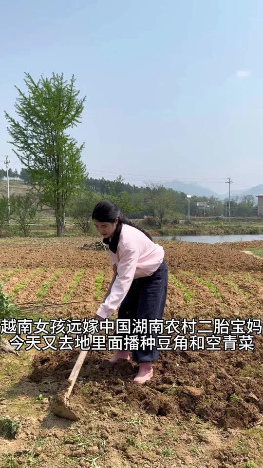 开始种各种青菜,希望能有一个好的收成#乡村振兴靠双手 #户外女孩 #耕种实践 #越南女孩
