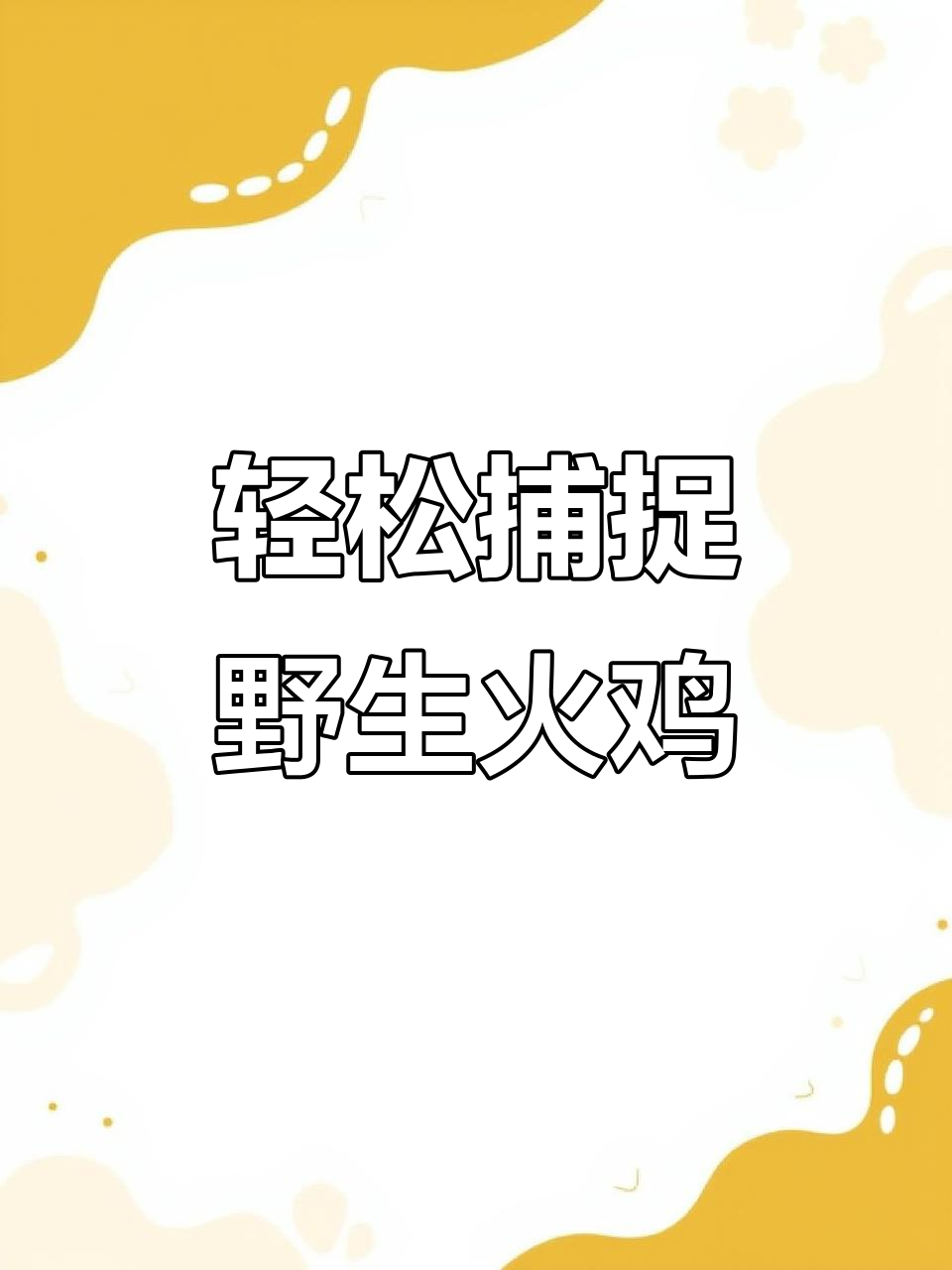 如何在魔兽世界中快速找到野生火鸡并击杀