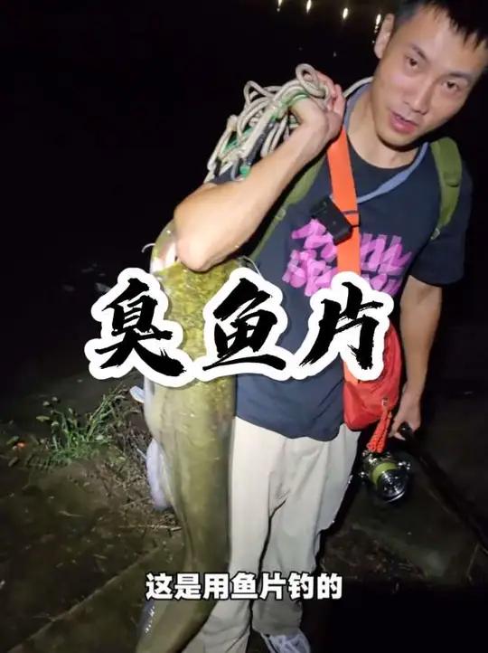 国庆钓鲶鱼必备神饵