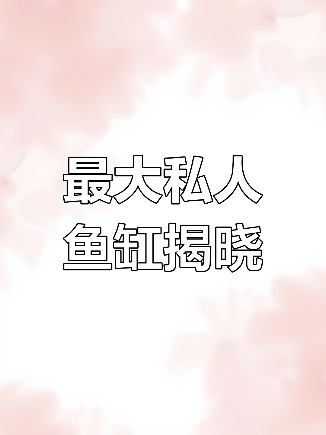 19米豪华鱼缸揭秘,龙蓝鲨红鱼齐聚