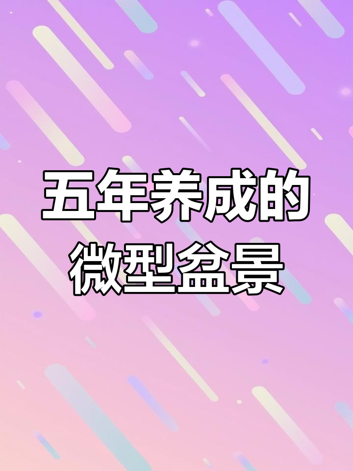 五年培养鸭掌木盆景的成长历程