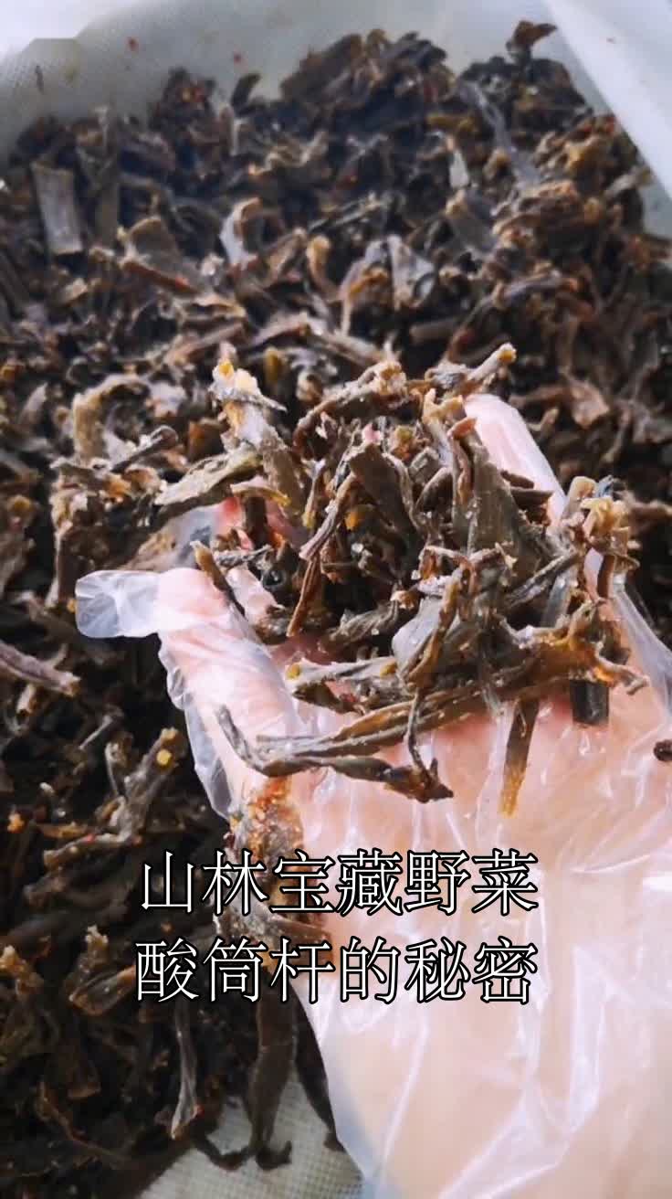 山林宝藏野菜酸筒杆的秘密