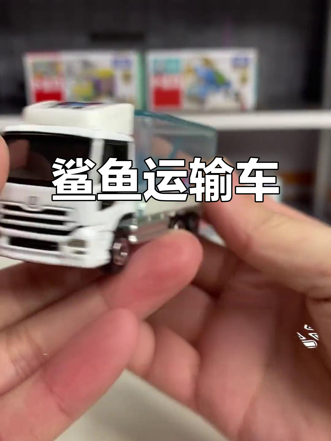 海洋馆鲨鱼运输车,独特造型的小型玩具