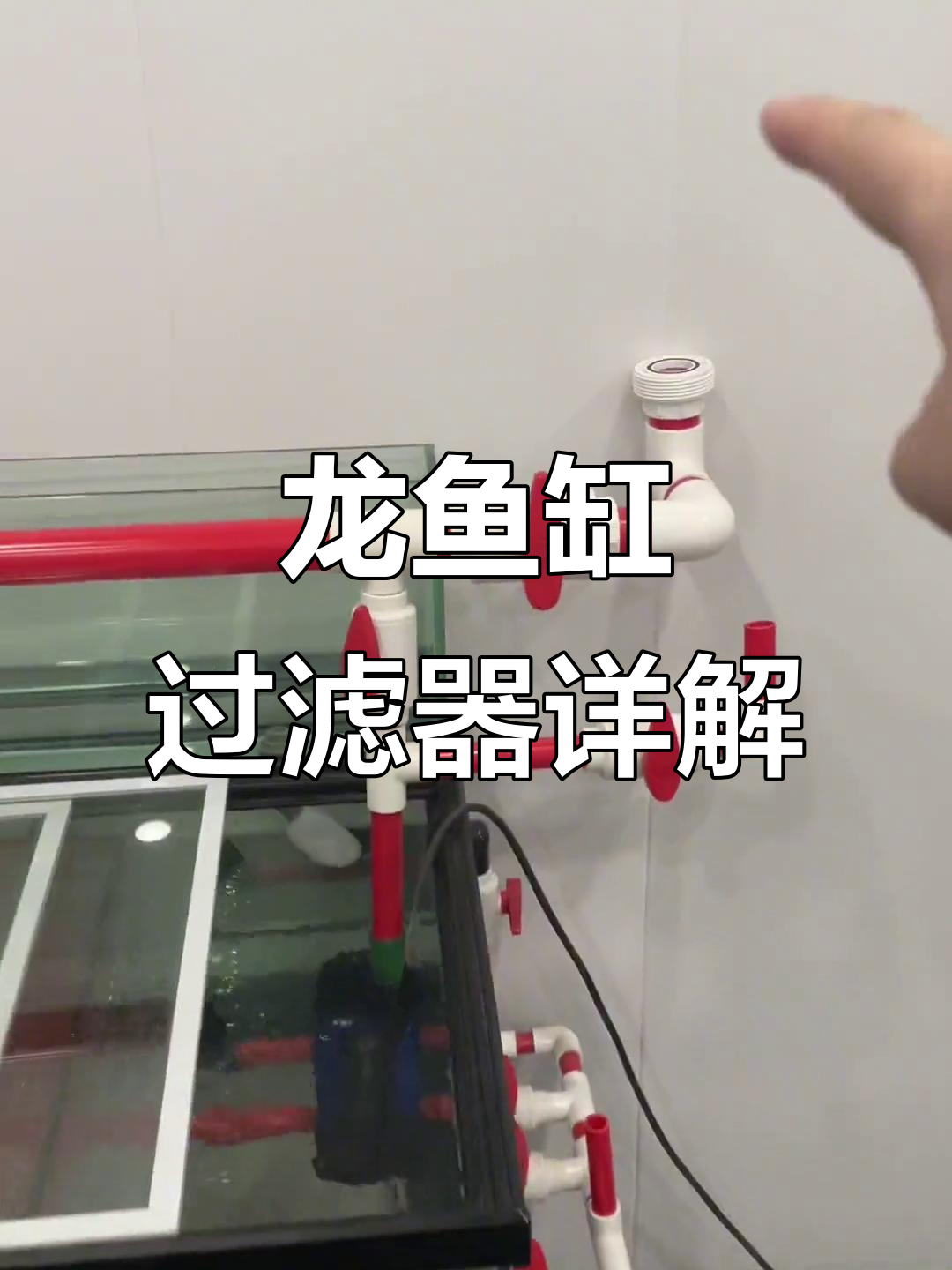 龙鱼缸过滤系统全解析:静音、干湿分离与生化仓设计