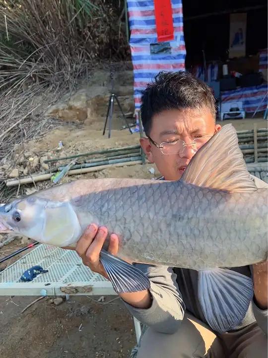 水库钓青鱼,主要还是得以守为主,做好窝子是关键!