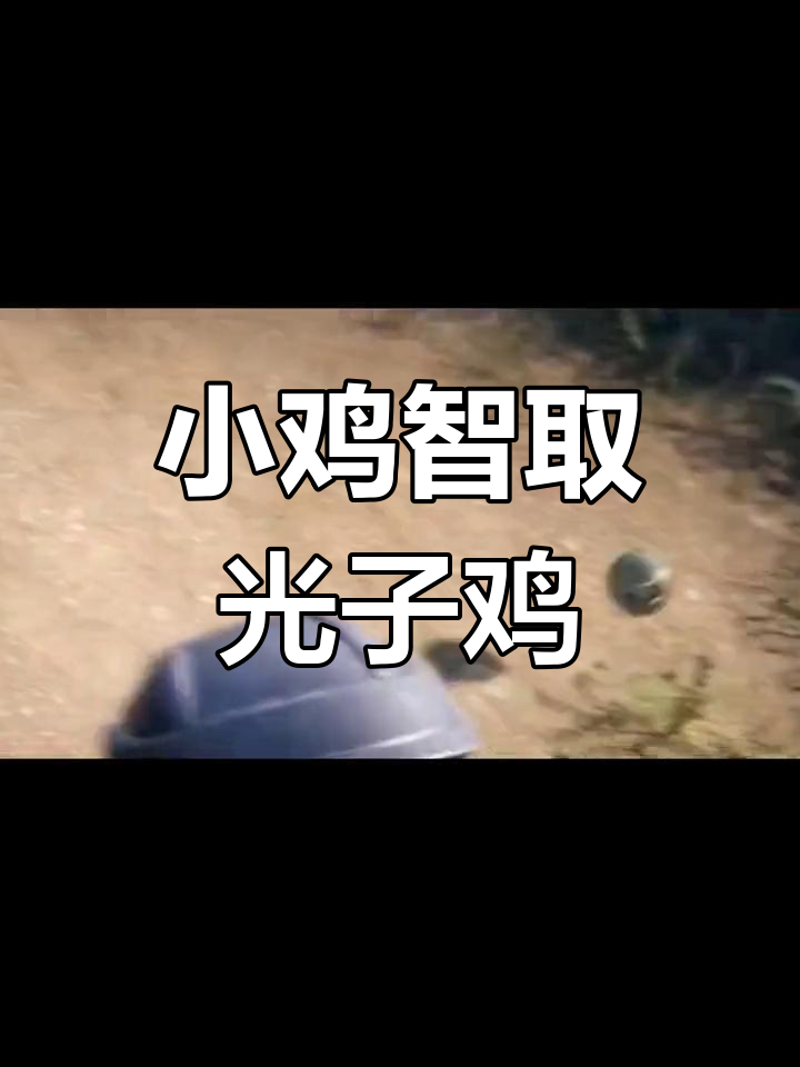 光子鸡小队大作战,小鸡也能打败猴子!