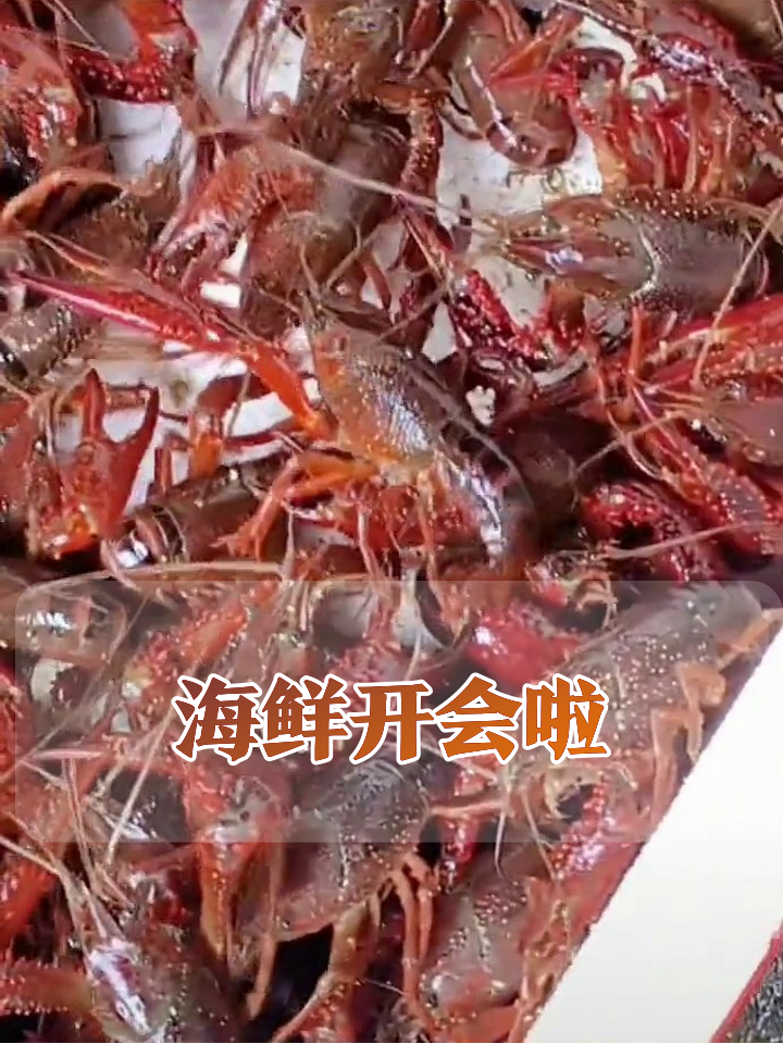 酒楼海鲜多到挑花眼!小龙虾甲鱼老虎斑,吃货速来!