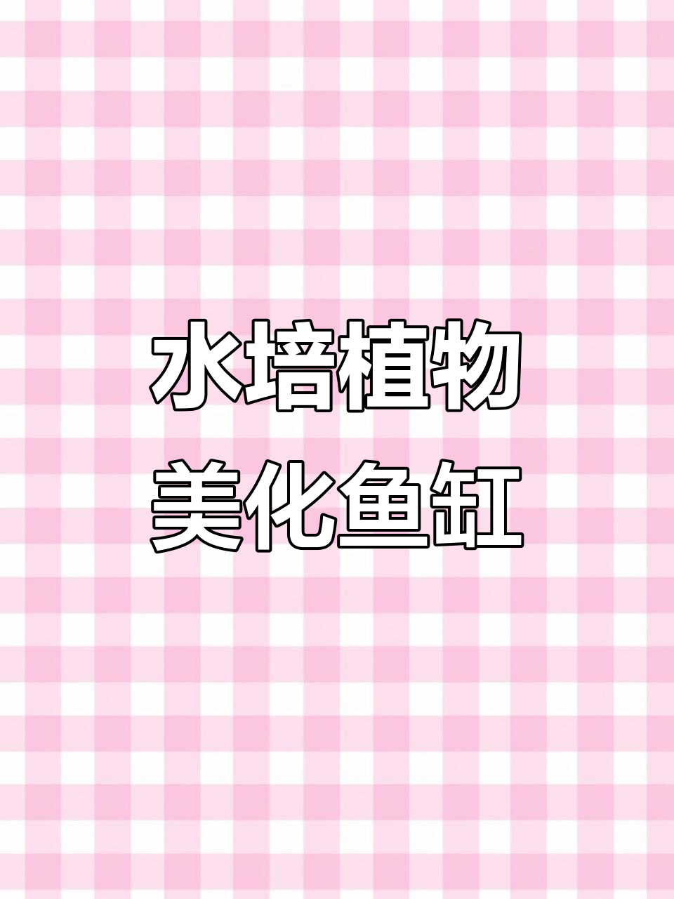 鱼缸水培植物推荐,净化水质又美观