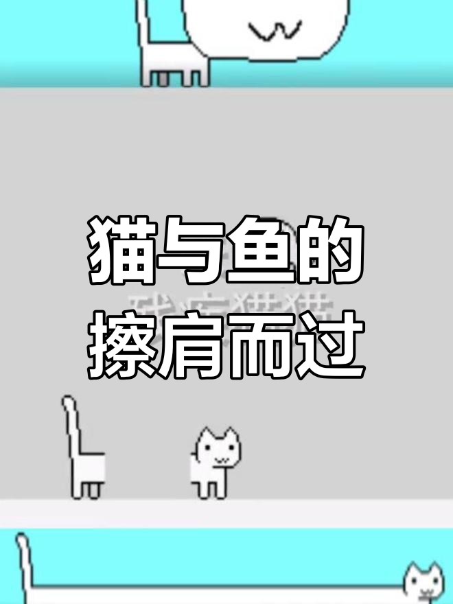 猫和鱼的游戏:差一点就能吃到,最后却成了朋友