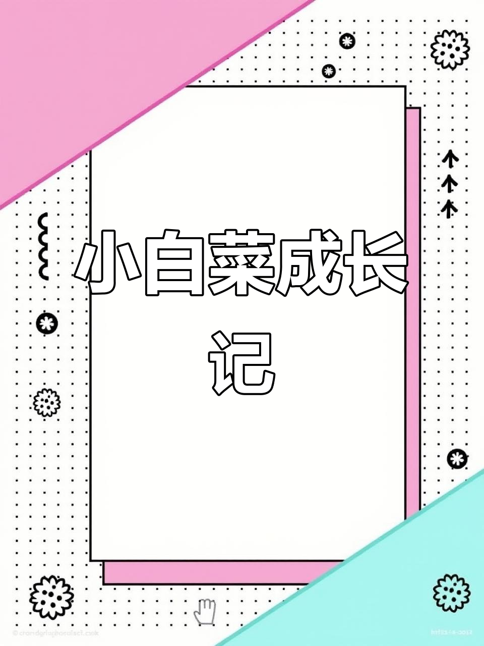 小白菜从种子到嫩苗的成长过程,记录生命的力量