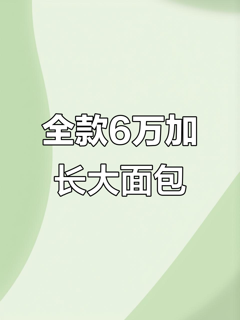 6万全款加长柴油大面包,内饰全新磨损小