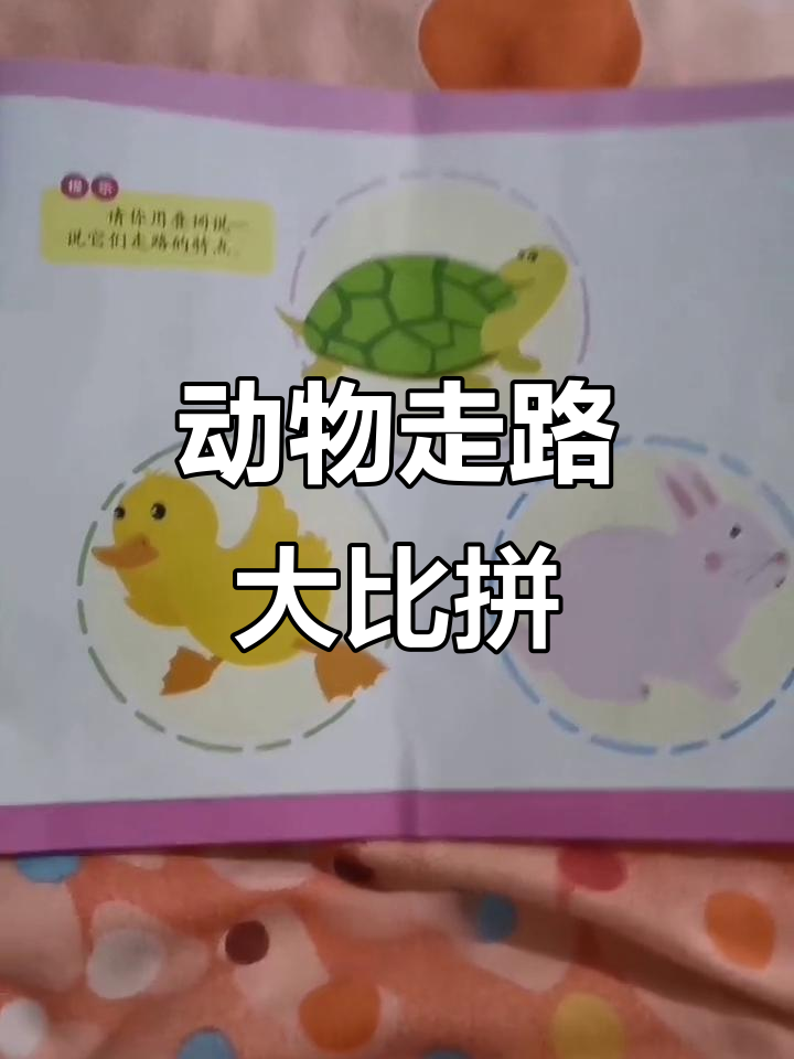 小鸭子走路摇摆,乌龟兔子各有特色