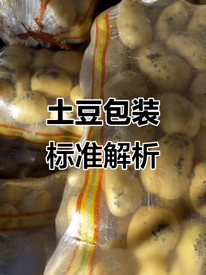 杭州蔬菜批发市场土豆包装技巧大揭秘,如何提升卖相与品质