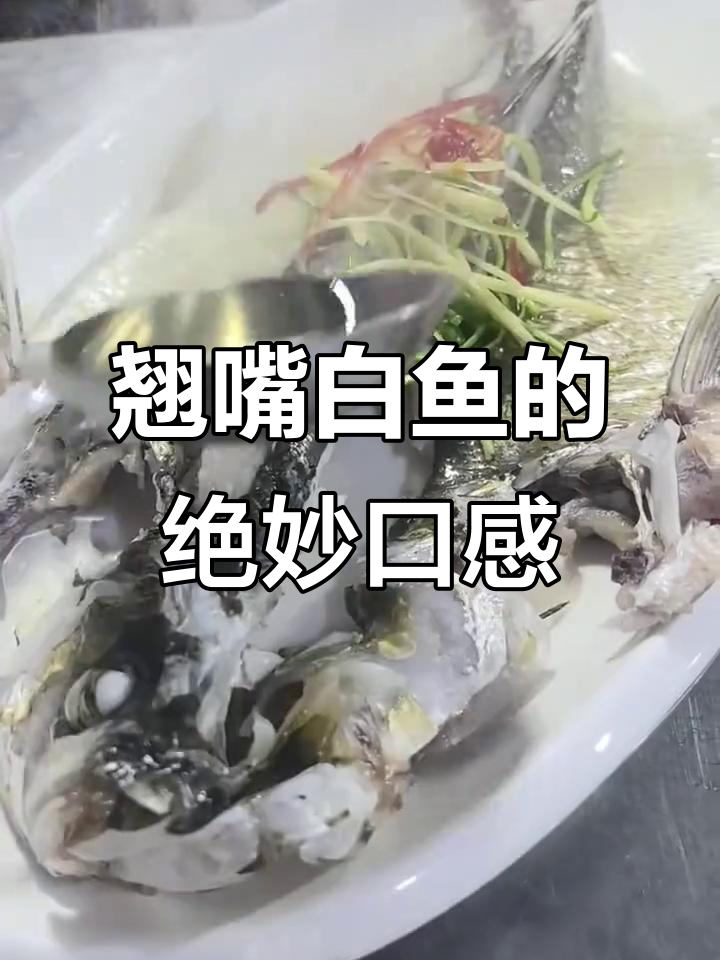 翘嘴白鱼:淡水四大名鱼之一,鲜美无比的独特美味