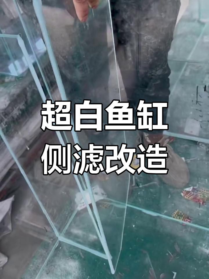 完整步骤教你制作超白鱼缸侧滤,轻松打造完美三格系统