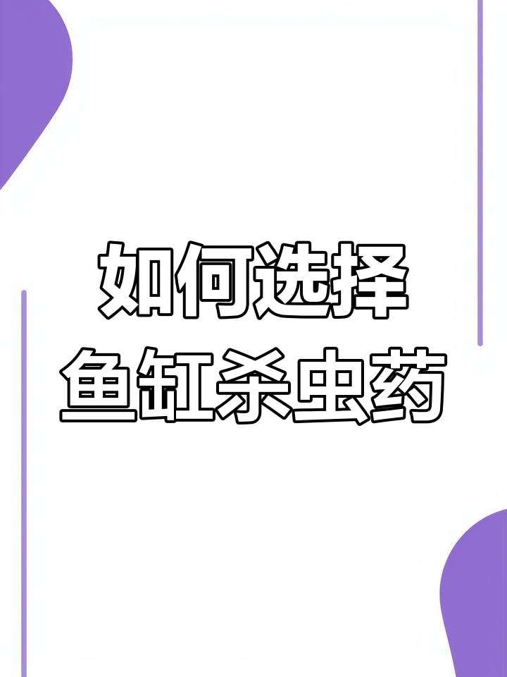 鱼缸杀虫药推荐与使用指南