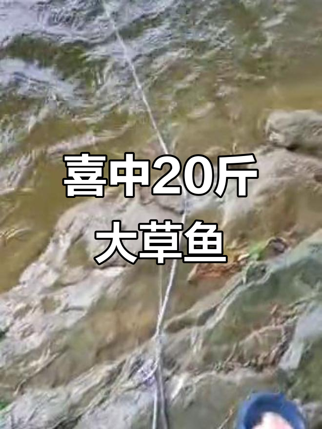 6月钓友捕获20斤大草鱼,惊喜不断!