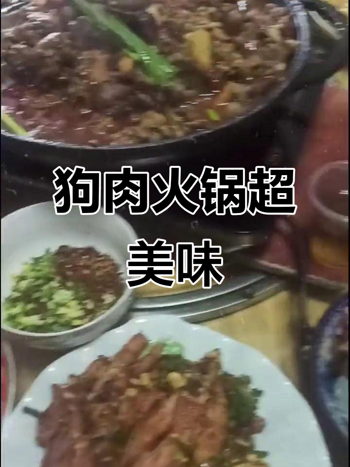 同事聚餐大快朵颐,狗肉火锅味道一绝