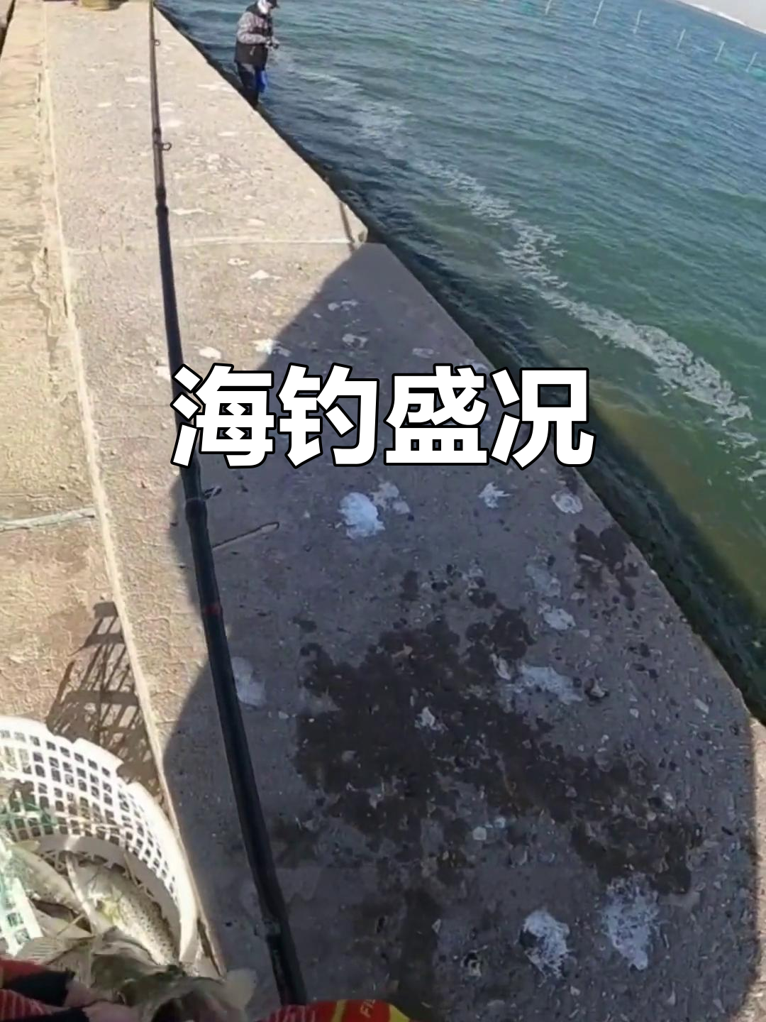 天津钓鱼热潮,各路高手齐聚,海钓黄金时间不容错过!