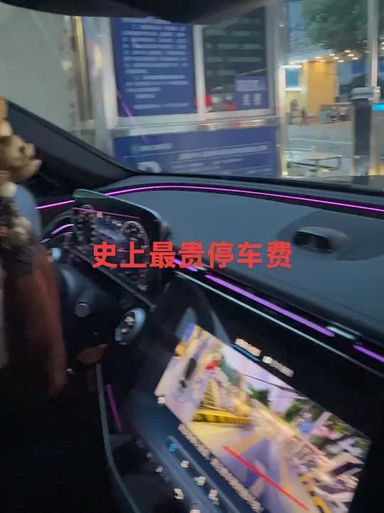 史上最贵停车费 停一个小时ETC扣我四千多万,这是史上最贵的停车费吧