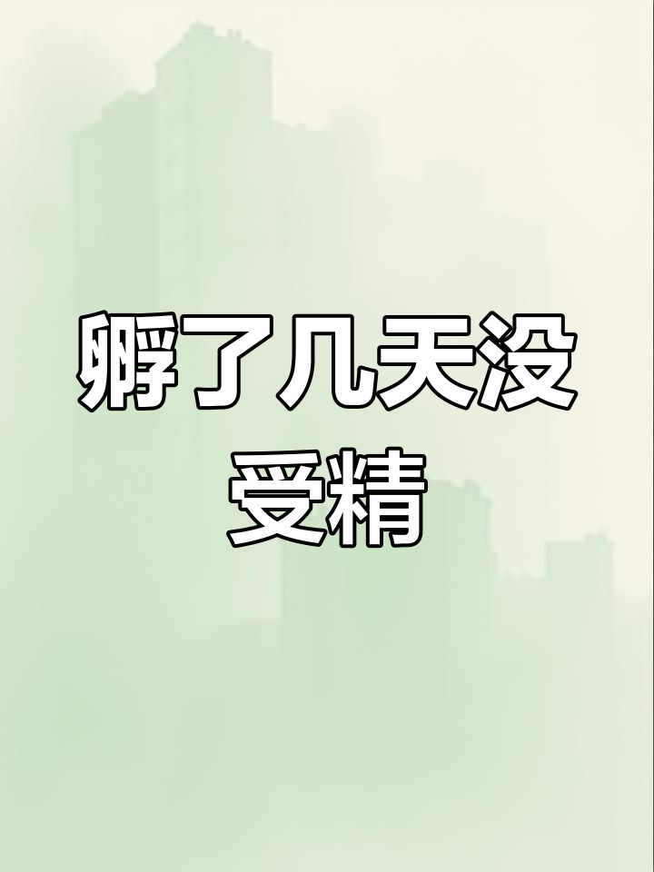 柯尔鸭蛋孵化失败,三天无血丝让人失望