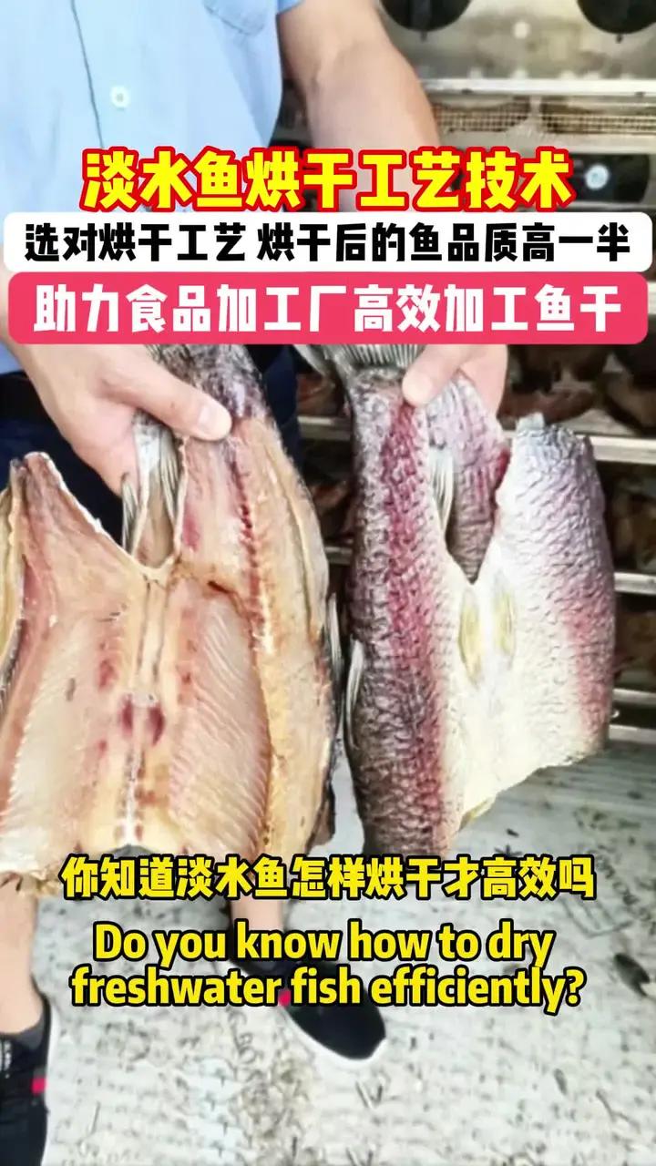 淡水鱼烘干工艺技术 淡水鱼烘干工艺技术,你知道淡水鱼怎样烘干才高效吗?来看看湖北客户烘干后