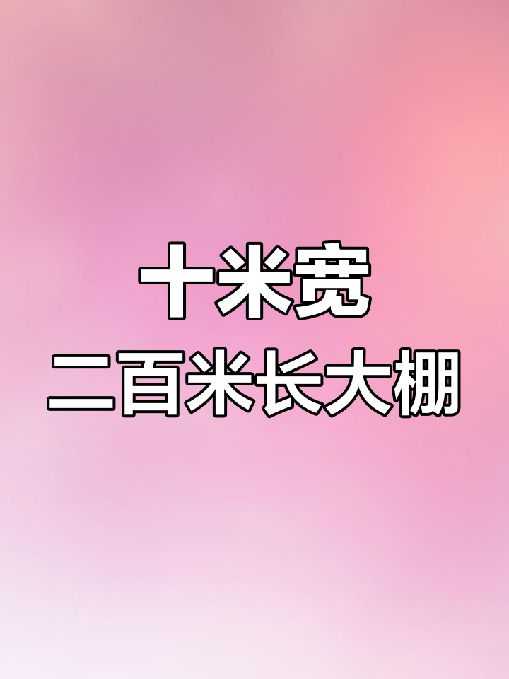10米宽200米长蔬菜大棚,椭圆管结构让你不碰头