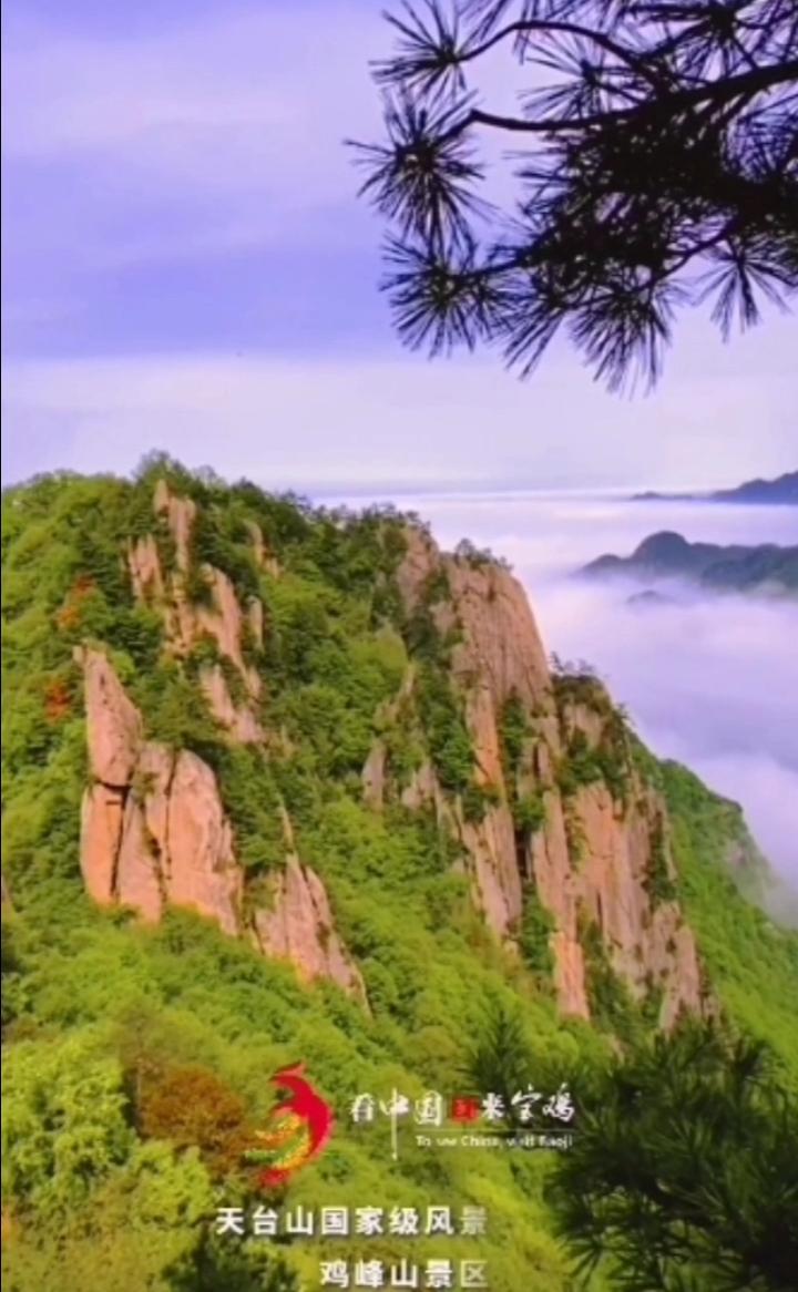 “爱上宝鸡” 短视频大赛优秀奖《大美天台山》展播