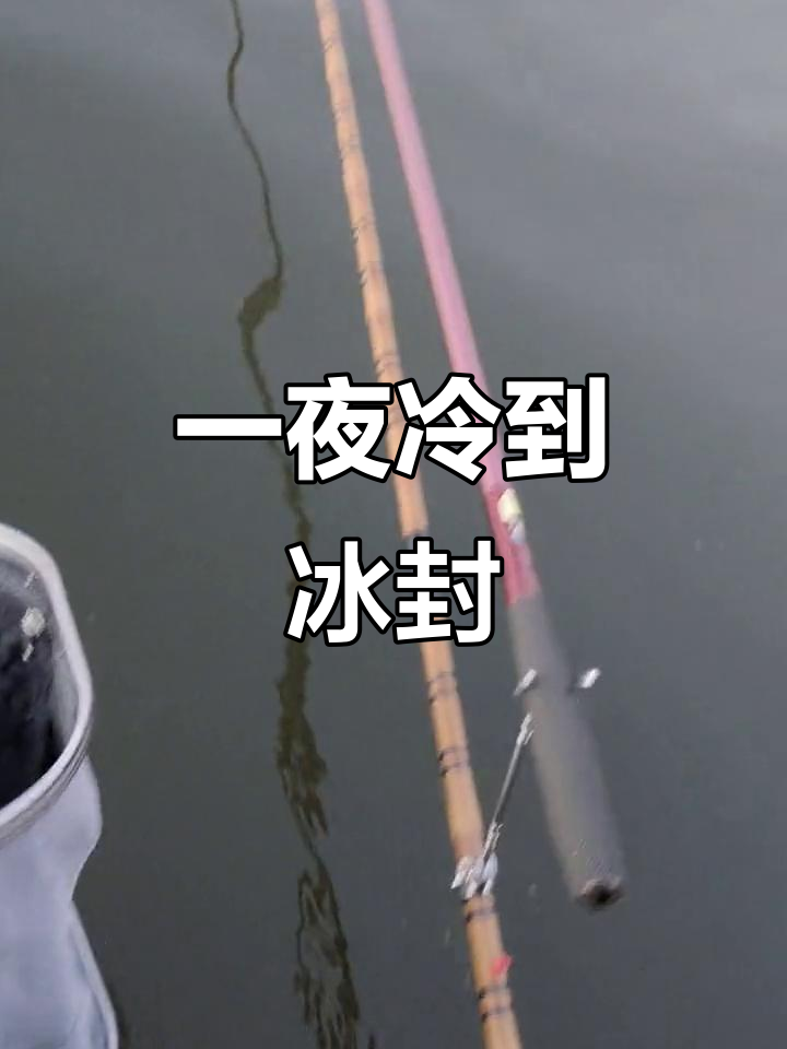 零下3℃的寒冷夜晚,鱼货结冰成灾