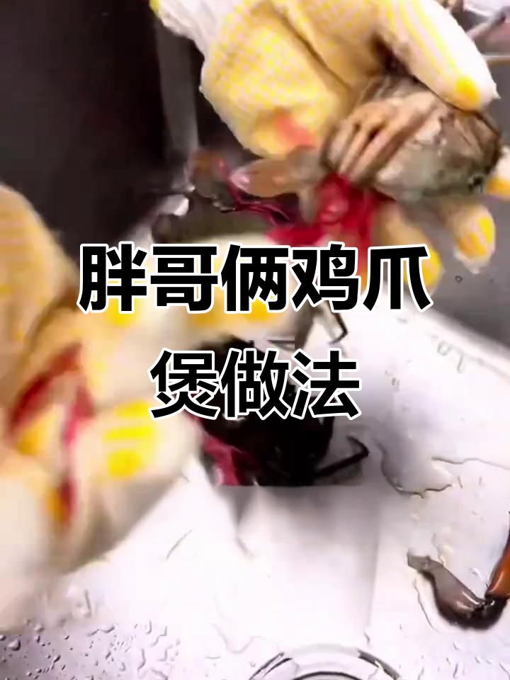 胖哥俩肉蟹煲商用秘制配方,开店必备!