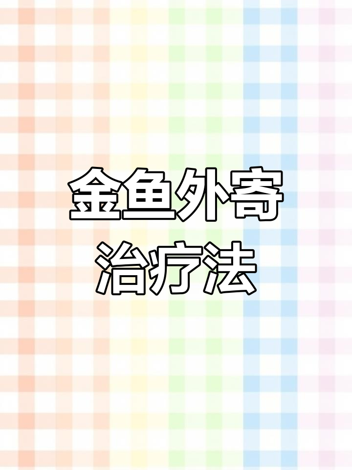 金鱼体外寄生虫防治全攻略,轻松解决鲸鱼困扰